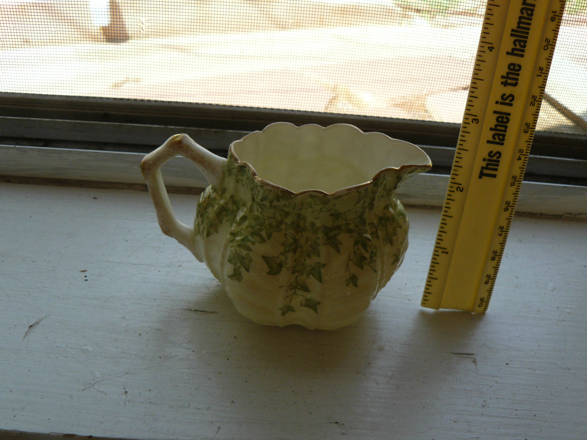 pitcher5.jpg