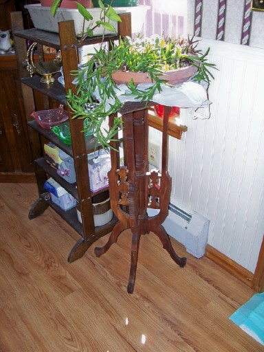 plants7.jpg
