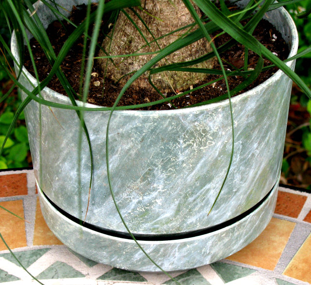 ponytailpalmmarbleizedpot-2.jpg
