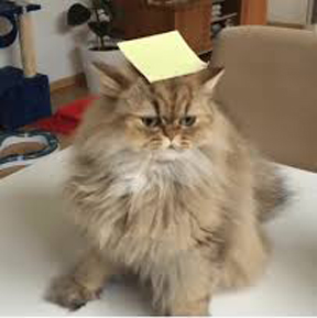 post-it note.jpg