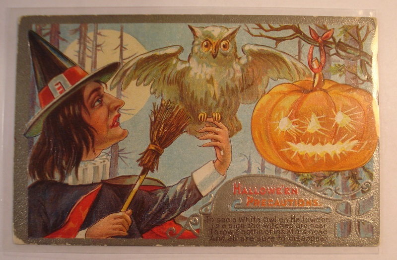 postcard halloween witch jackolantern.jpg