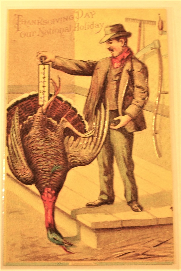 postcard thanksgiving turkey for dinner.jpg