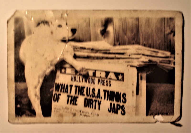 postcard ww2 dog japan.jpg