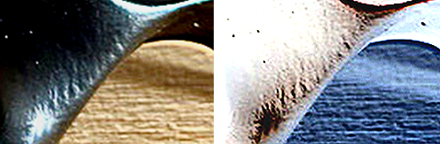 Potential signature.jpg