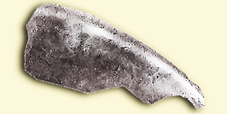 POTNL SIGNATRE-1.jpg
