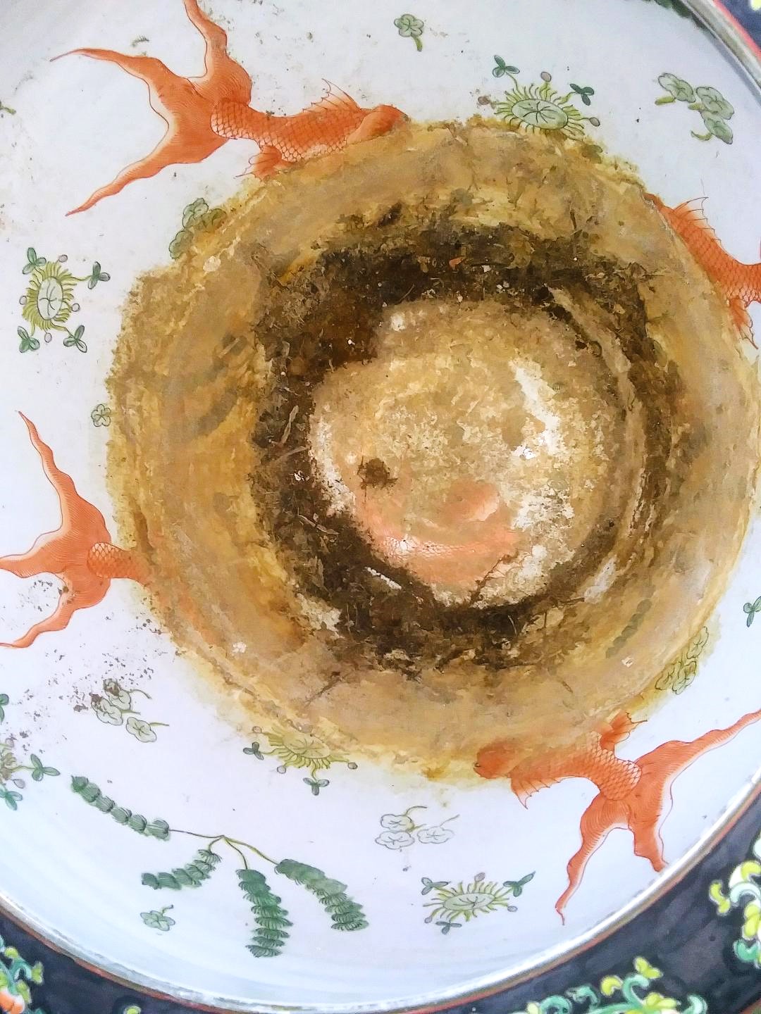 POTTERY CHINESE FISH BOWL 8AA.jpg