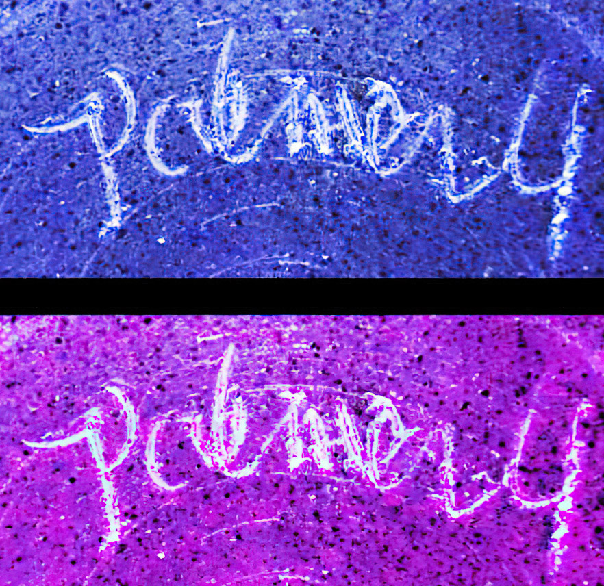 PURPLE-LAV BGRD-gigapixel-standard-scale-2_00x.jpg