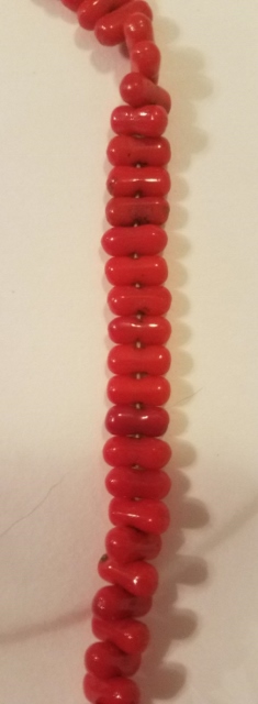 Red coral 2 (235x640).jpg