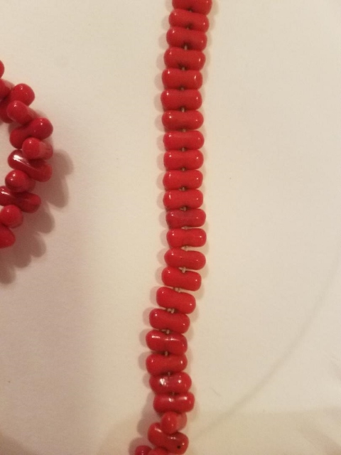 Red Coral 3 (480x640).jpg