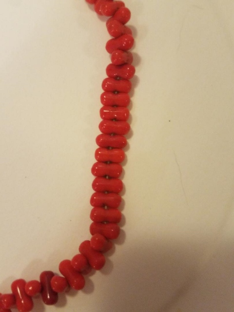 Red Coral 4 (480x640).jpg