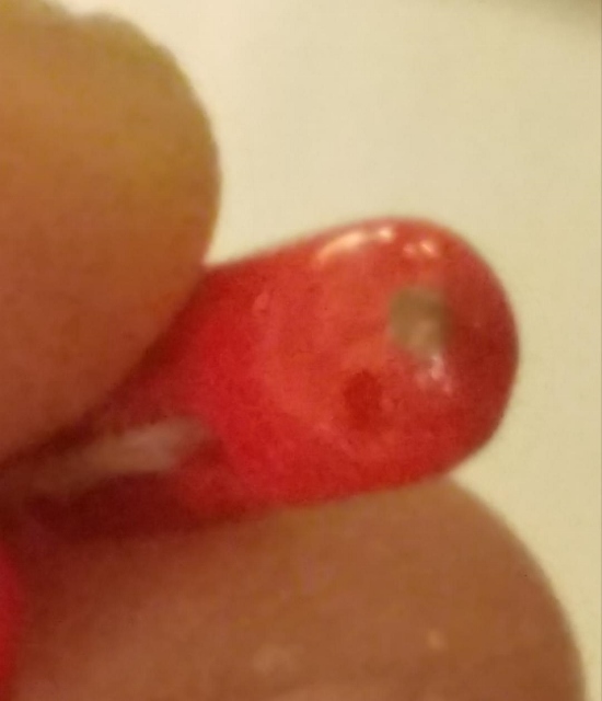 Red coral broken (550x640).jpg