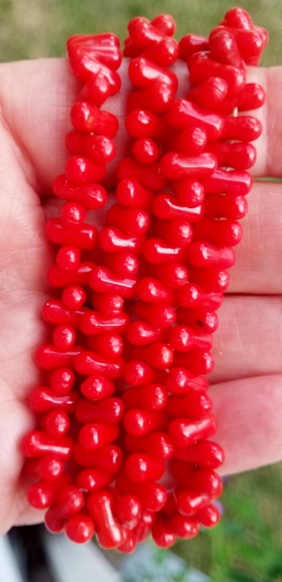 Red Coral Set Sun (311x640).jpg