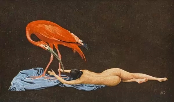 red-ibis-4403193.jpg.jpg