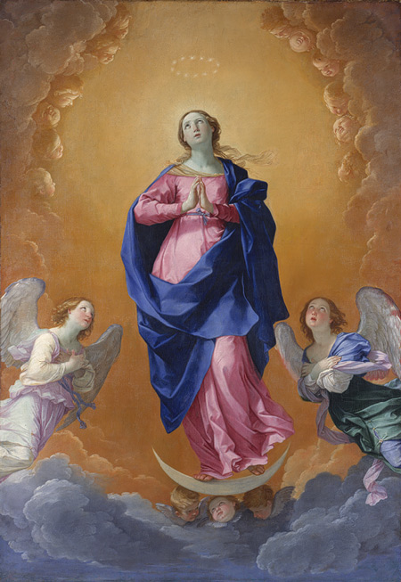 Reni Immaculate Conception MMA.jpg