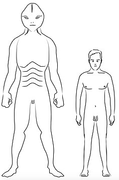 Reptilian_Human_Comparison (1)g.jpg