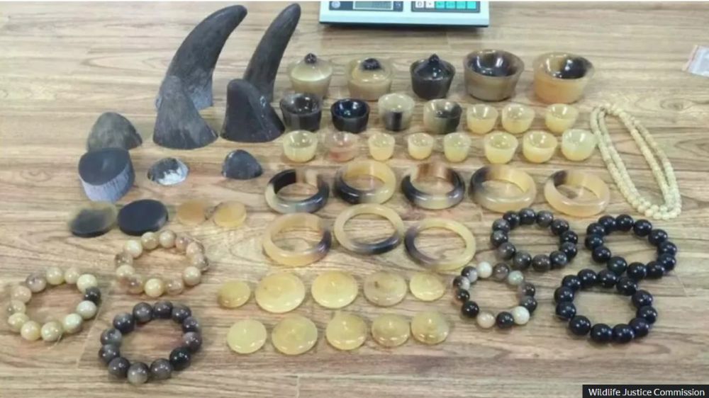 rhino horn smuggled as jewelry - small.jpg