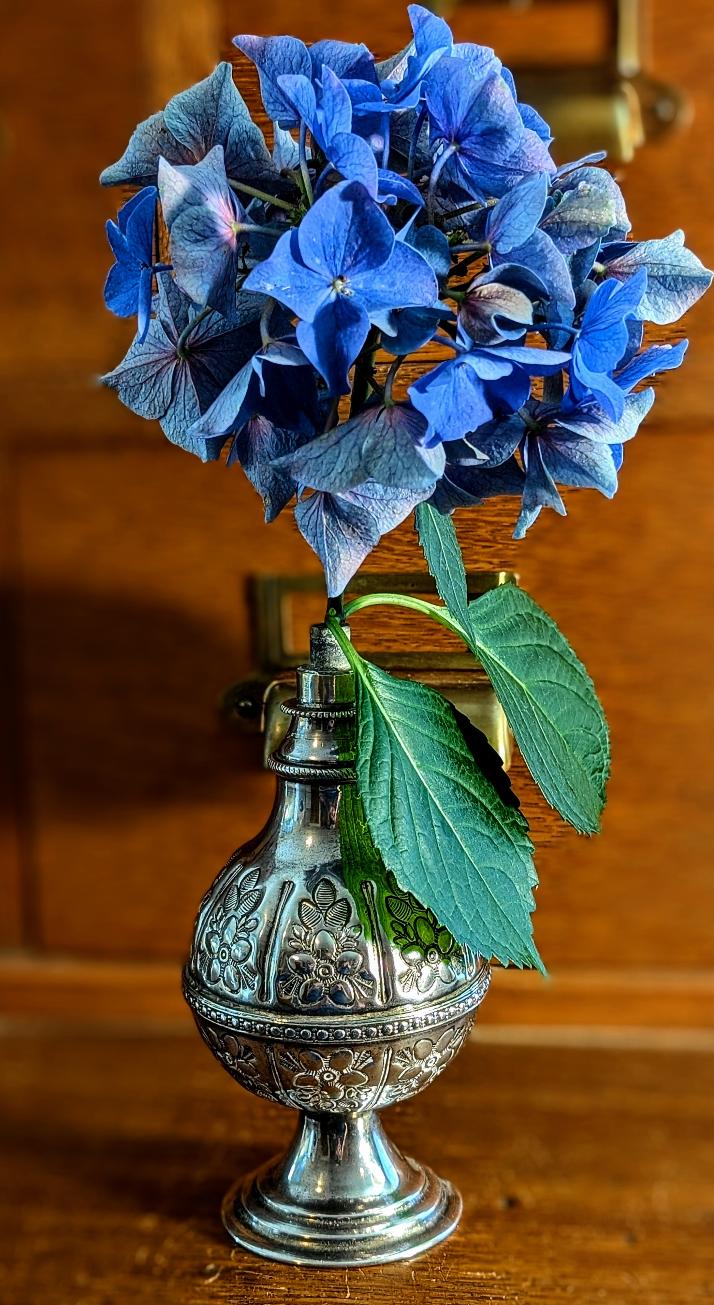 Rose1.jpg