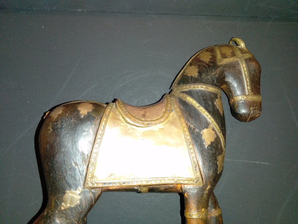 rsz_my_new_pet-tang_horse_062.jpg