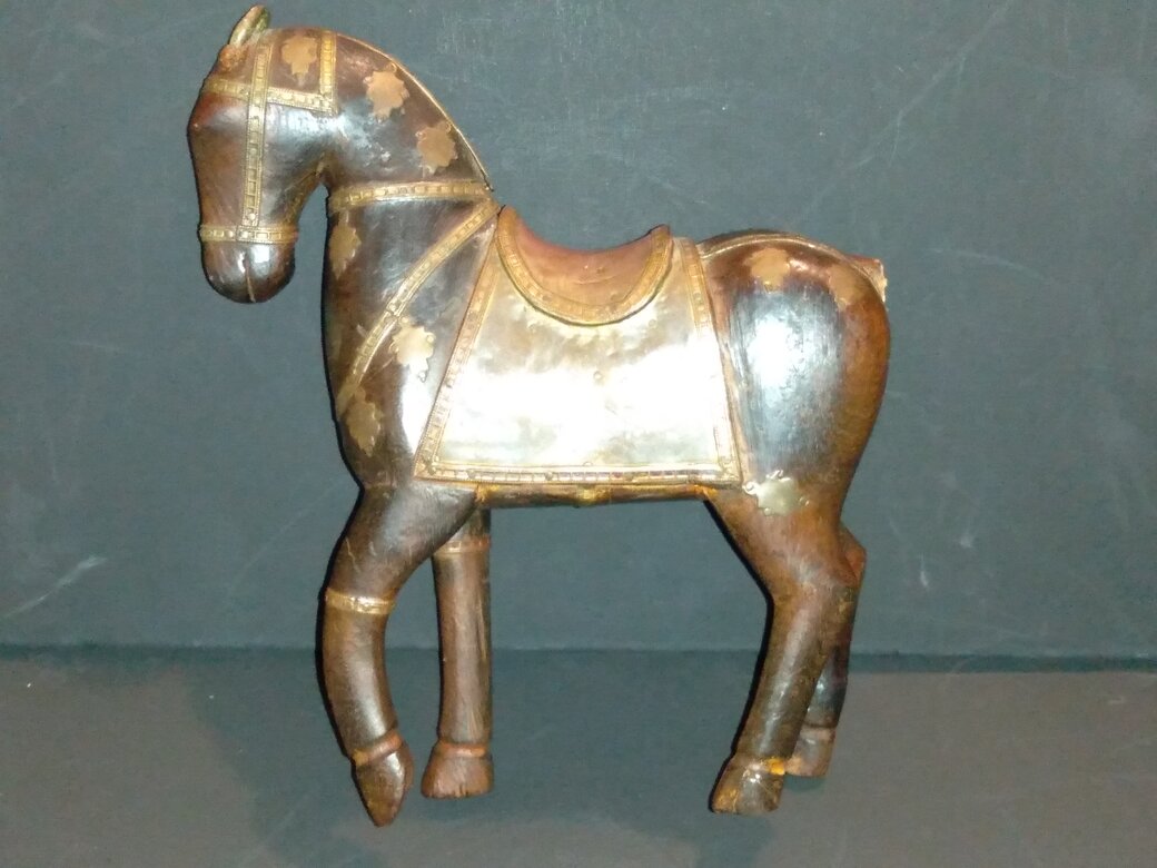 rsz_my_new_pet-tang_horse_071.jpg
