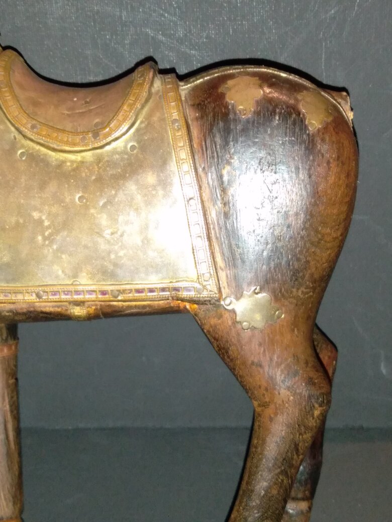 rsz_my_new_pet-tang_horse_072.jpg