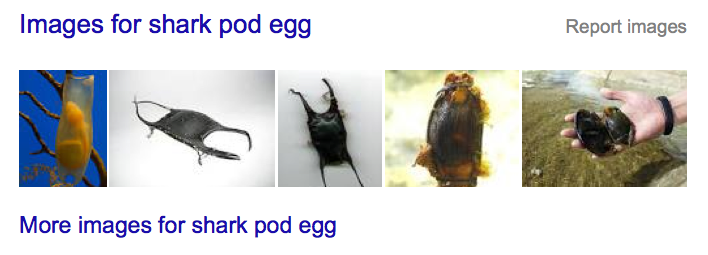 Screen Shot 2016-03-28 at 6.36.56 PM.png