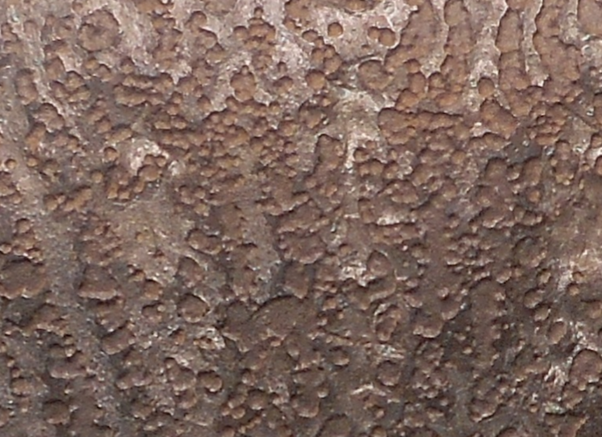 Screen Shot 2020-06-24 at 10.00.38 PM.png