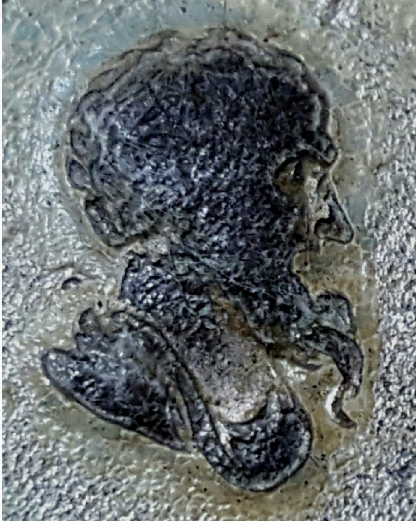 Screen Shot 2021-05-16 at 7.20.20 AM.jpg