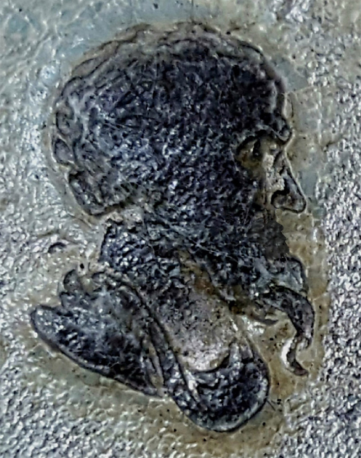 Screen Shot 2021-05-16 at 7-EDITED.jpg