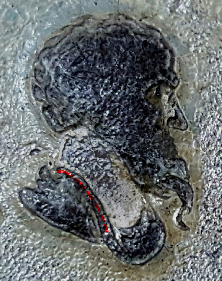 Screen Shot 2021-05-16 at 7-EDITED2.jpg