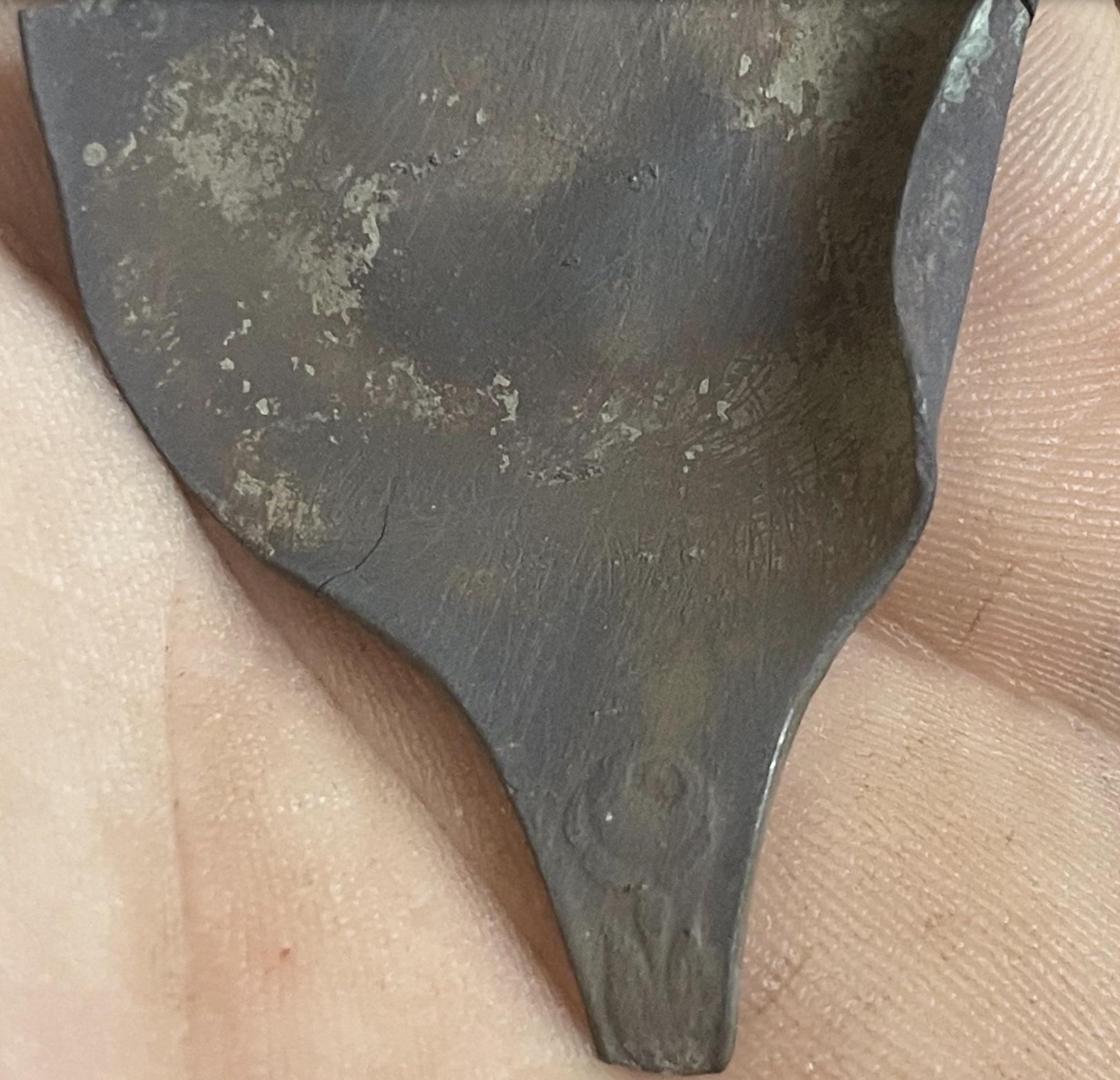 Screen Shot 2022-01-19 at 12.33.40 PM.jpg