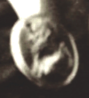 Screen Shot 2022-04-24 at 10.42.21 AM.png