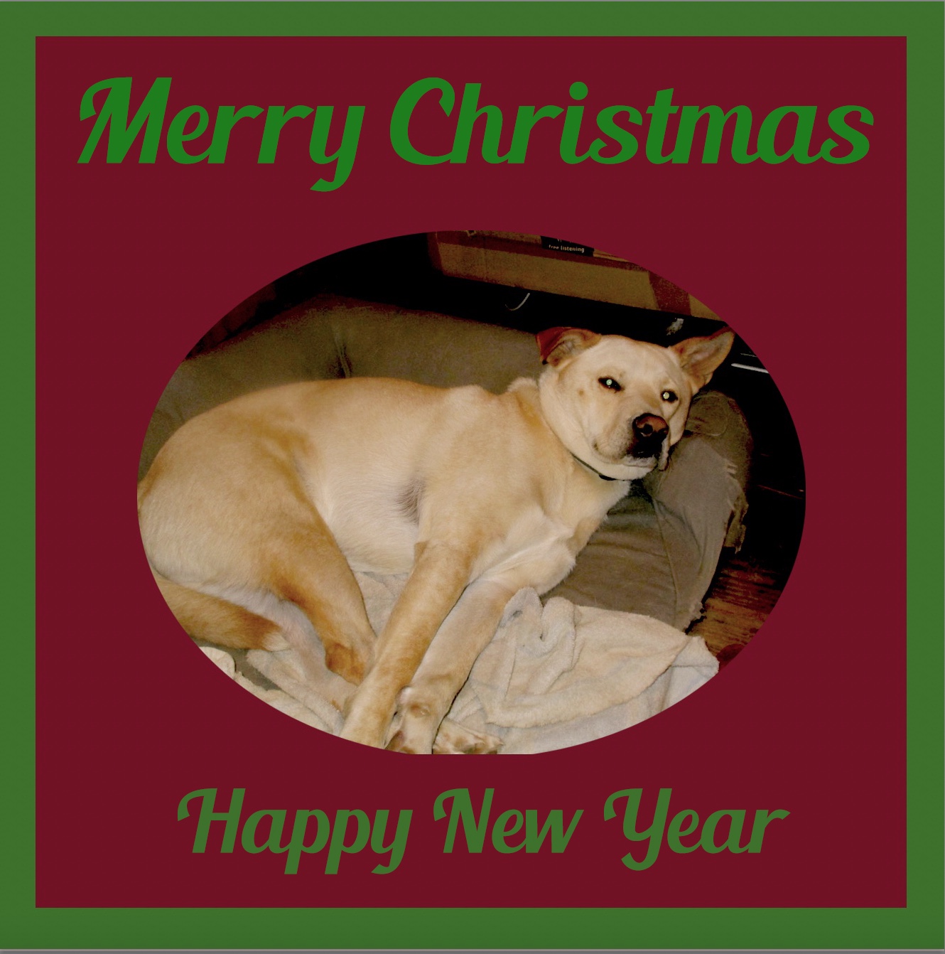 Screen Shot 2022-12-24 at 8.35.40 PM.jpg