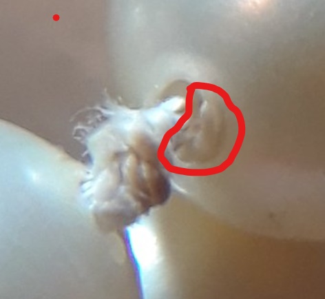 Screenshot (18)_LI.jpg