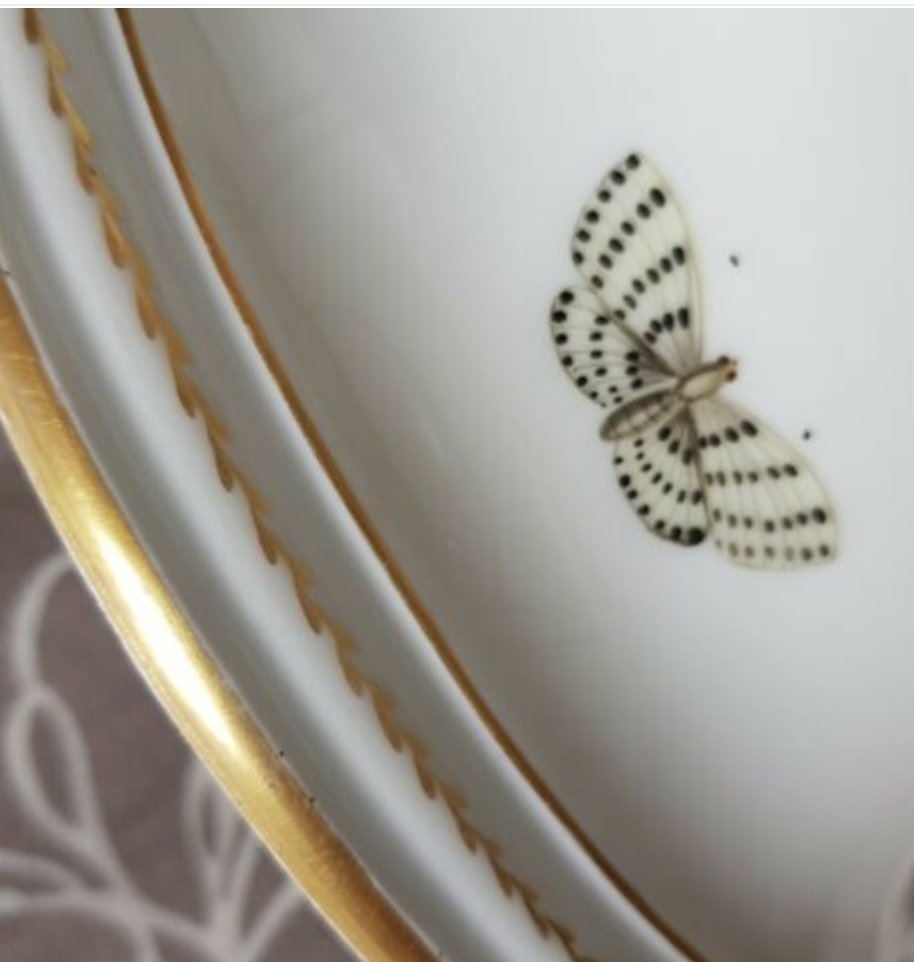 Screenshot 2020-09-03 at 09.52.52.png