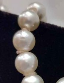 Screenshot 2024-02-04 124916.jpg