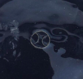 Screenshot 2024-03-07 at 8.31.56.png