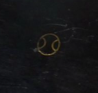 Screenshot 2024-03-07 at 8.32.45.png