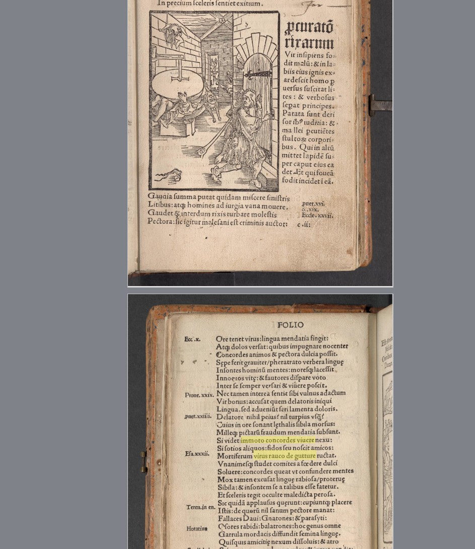 Screenshot 2025-04-07 210426.jpg