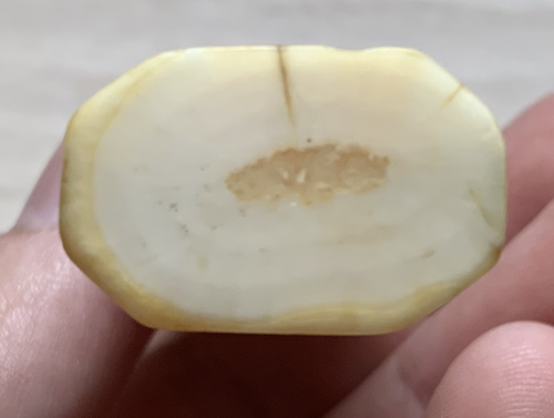 Screenshot 2025-08-31 at 3.17.25 PM.png