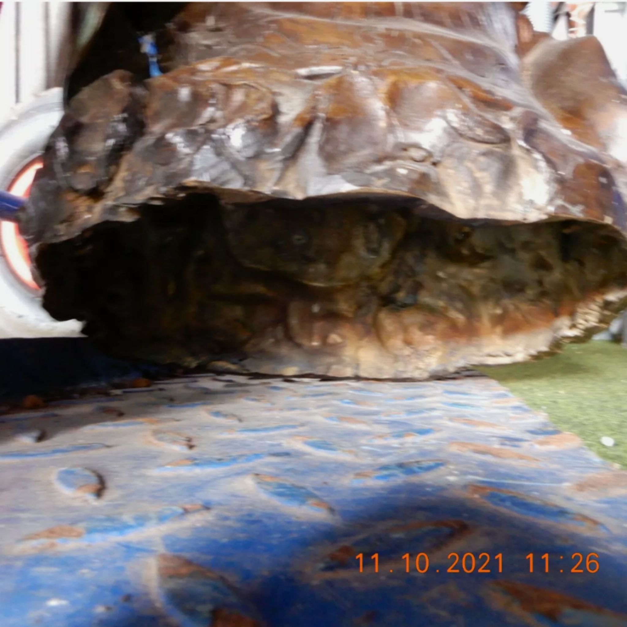 Screenshot_20211011-173356_compress37.jpg