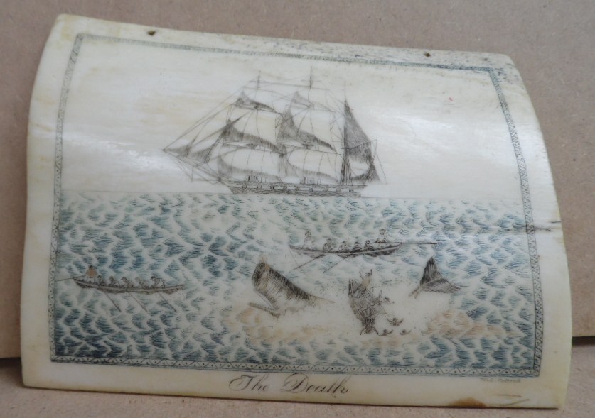scrimshaw 002.JPG
