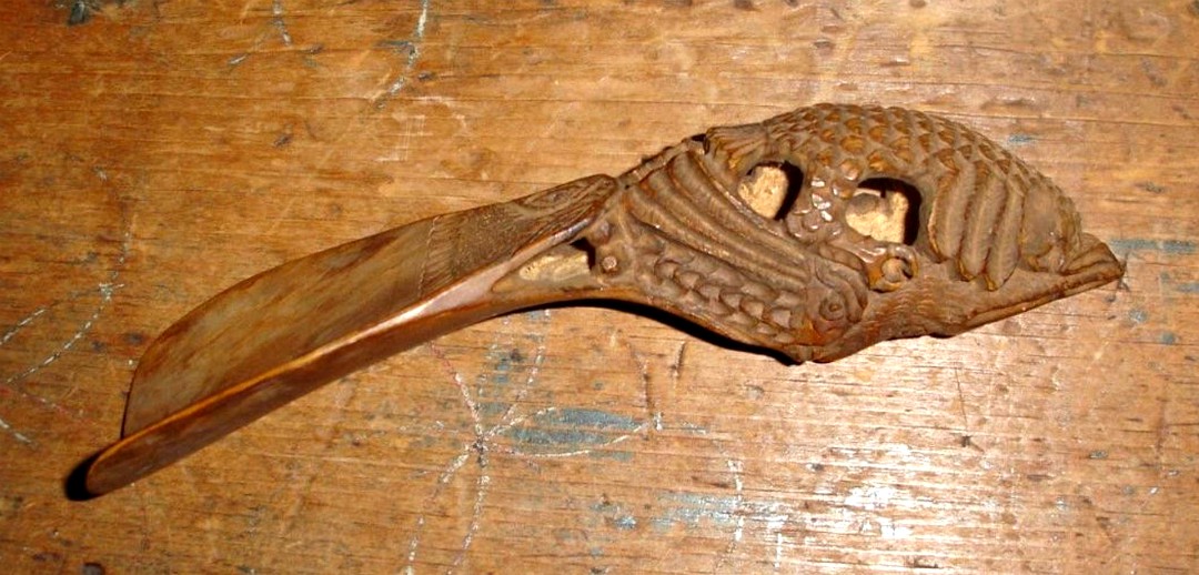shoehorn-bird-4a.jpg