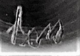 sig on cocktail shaker.jpeg