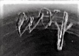 sig on cocktail shaker.jpeg