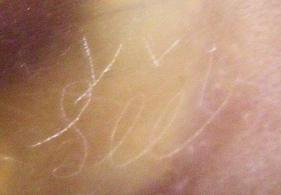 Sll Muses Cupid Q 1D.jpg