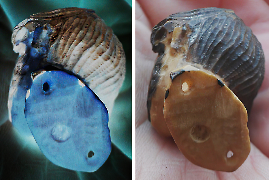 SMALL CARVED HEAD-gigapixel-scale-2_00x.jpg