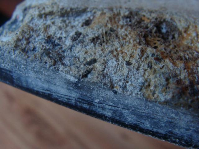 spaamse tegel  (7).JPG