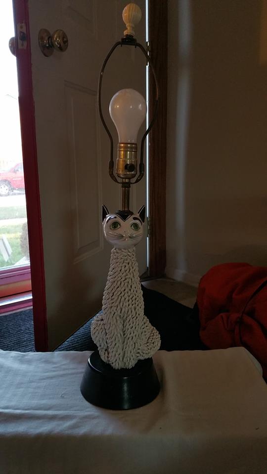 spagghet cat lamp 2.jpg