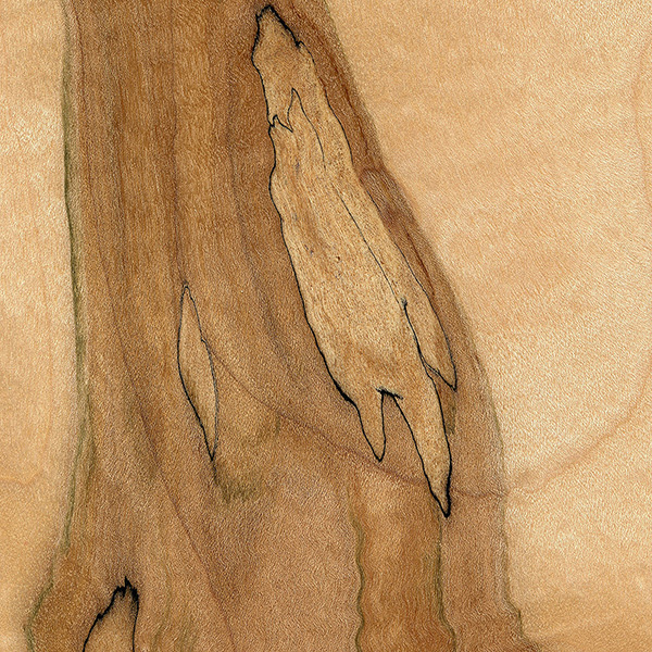 spalted-maple-sealed.jpg