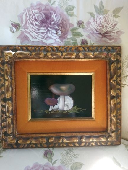 spina mushrums,r.jpg